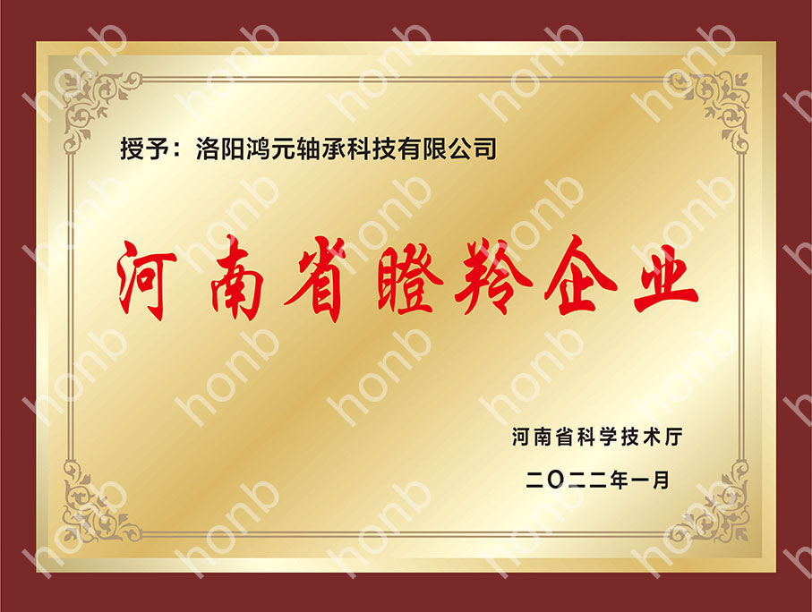 河南省瞪羚企業